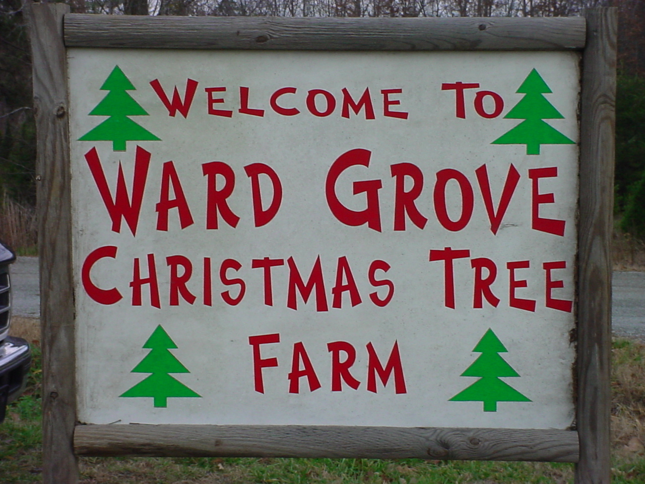 The hand-painted Welcome to Ward Grove Christmas Tree Farm sign