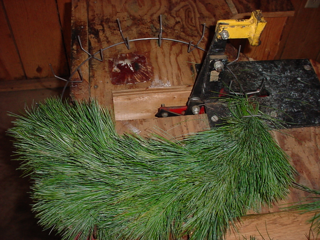 White pine greenery on the wreath-making bench in the cabin